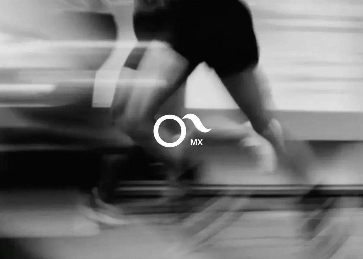 ¿Qué es Ponyflo? La historia detrás de Ponyflo (y por qué importa)